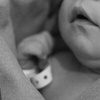 Brachial Plexus and Erb’s Palsy Brachial Plexus and Erb’s Palsy