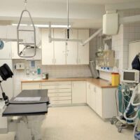 Orlando Regional Medical Center Medical Malpractice Attorney Orlando Regional Medical Center Medical Malpractice Attorney